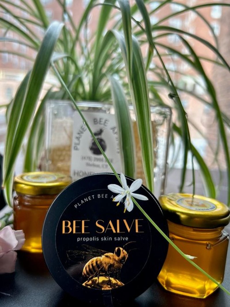 Planet Bee Apiary UNSCENTED BEE SALVE 1oz – Beeswax & Propolis Skin Moisturizer – All Natural, Small Batch