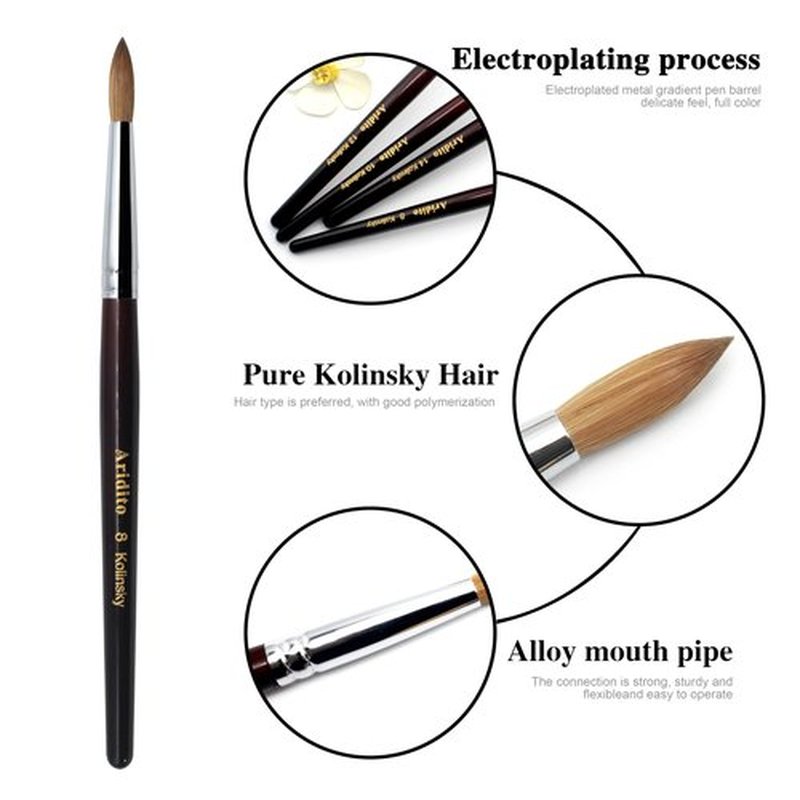 Aridito Round Head Kolinsky Acrylic Nail Brush Red Wine Color Wooden Handle For Professional Manicure DIY Home Salon （Size 8/10/12/14/16/18） (8# Kolinsky)