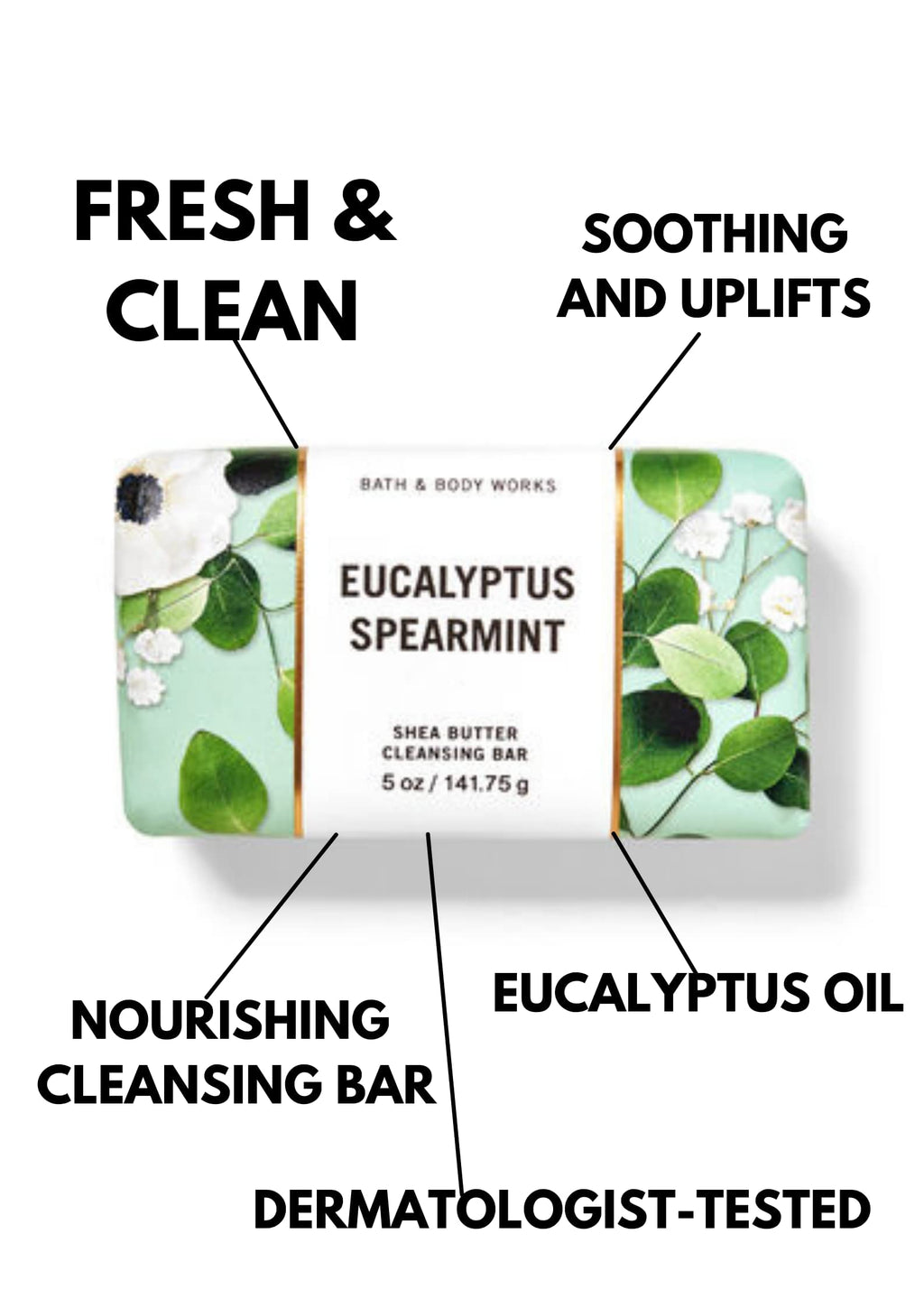 Bath and Body Works Eucalyptus Spearmint Shea Butter (5 oz / 141 g) Cleansing Bar