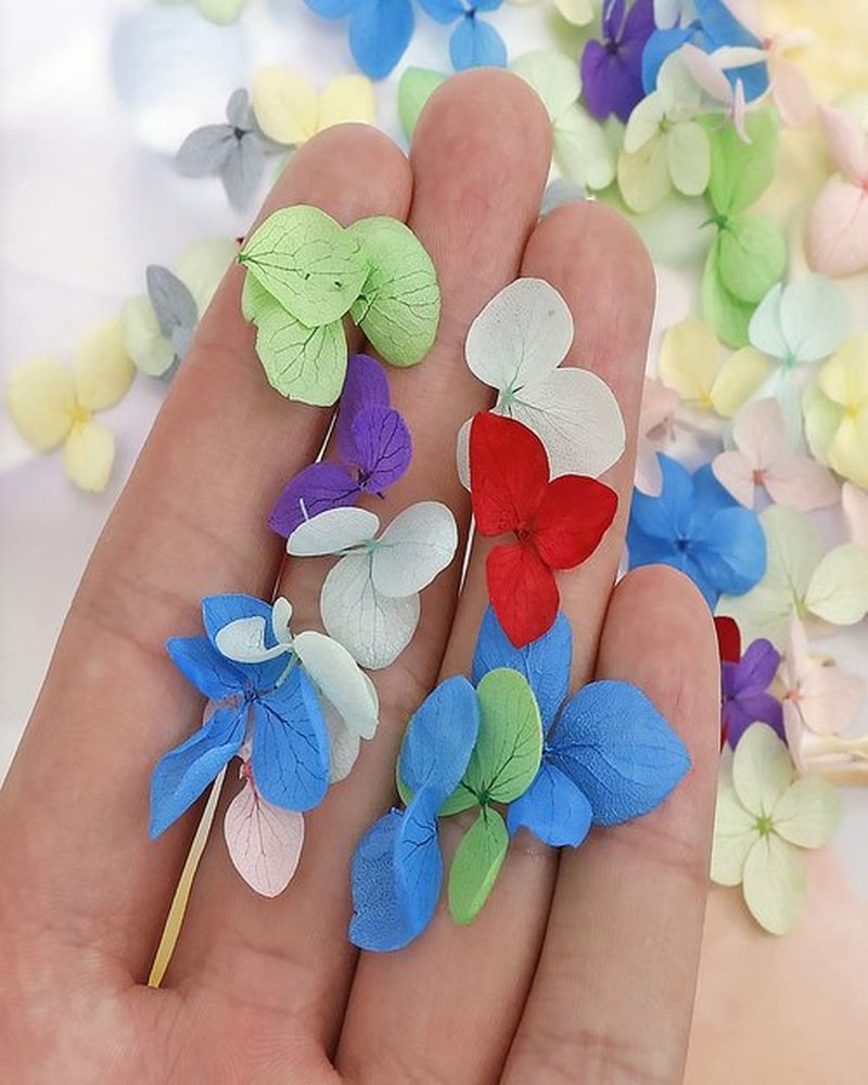 Dry Flowers for Nails,Dried Flowers for Nails,Naturaleza Muerta Flores para UñAs,Dried Hydrangea Flowers Nail Art Handmade Ornaments Decorative Dried Flowers Embossed Boxed Hydrangea Flowers