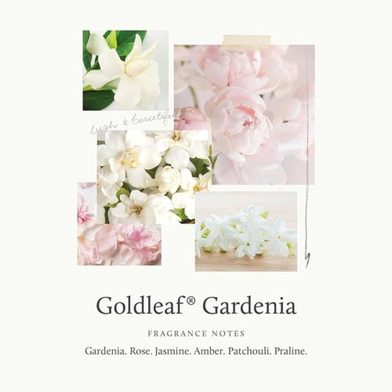 Thymes Goldleaf Gardenia Hand Wash - Luxurious 15 Fl Oz Size for Nourishing Clean