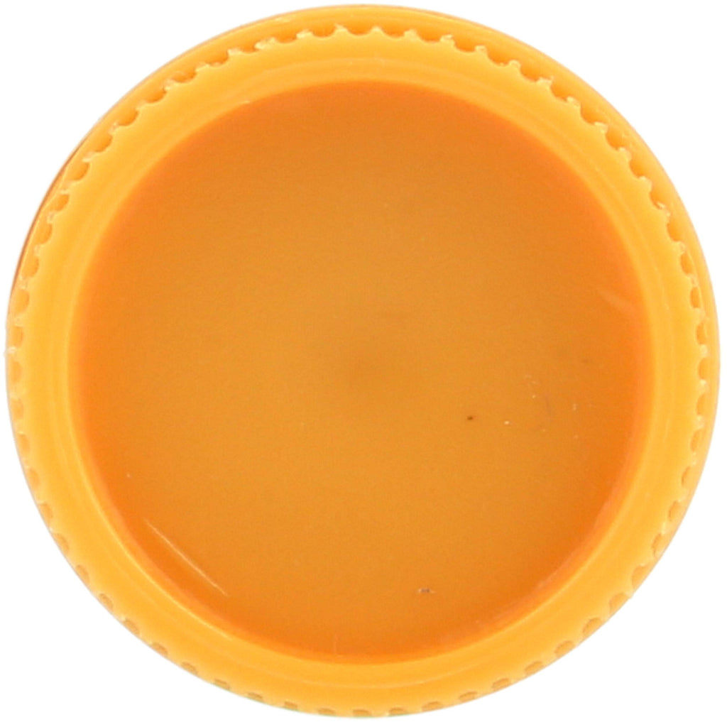 Burt's Bees Cucumber Mint Moisturizing Lip Balm for Women, Orange, 0.15 Oz