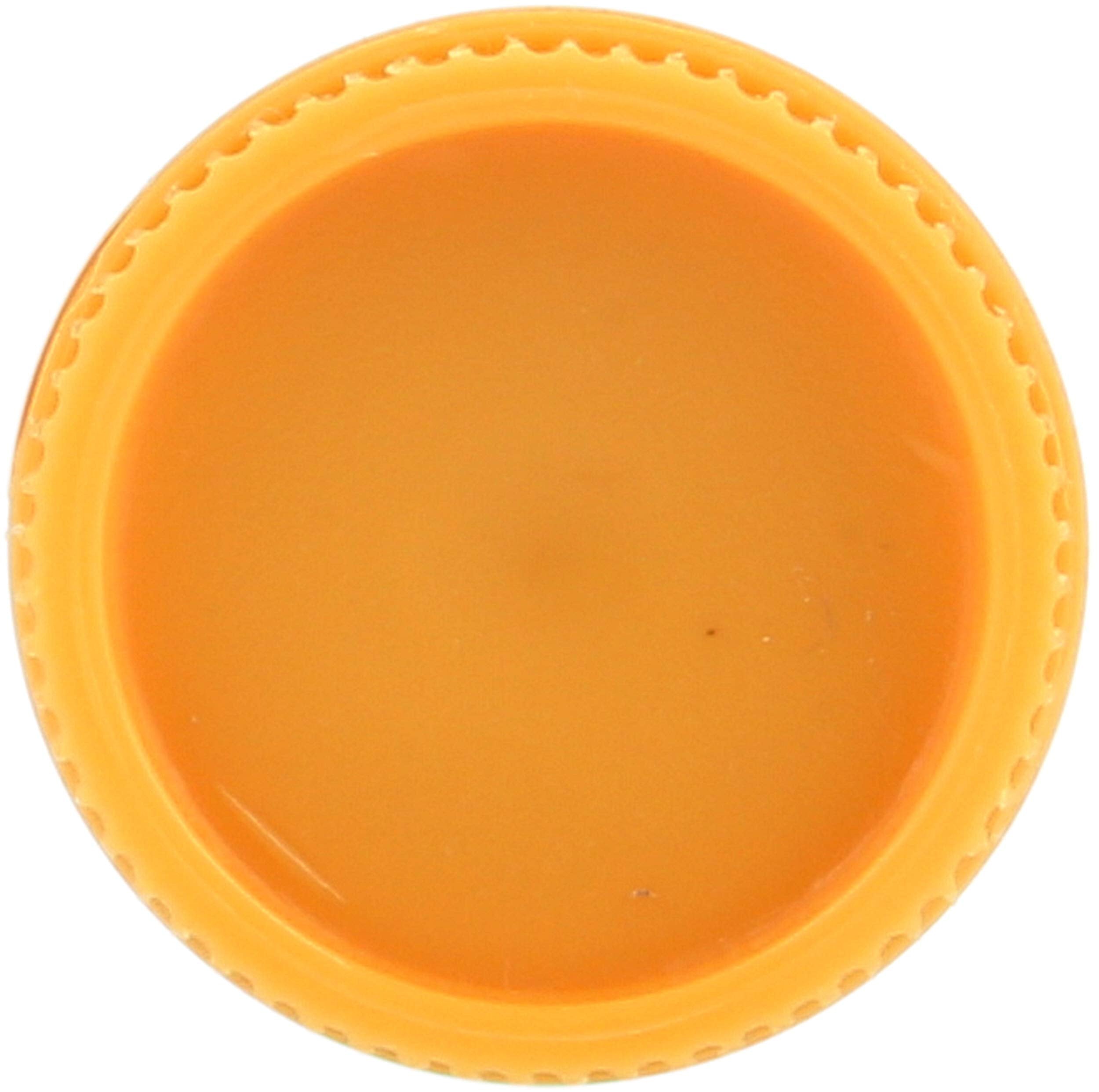 Burt's Bees Cucumber Mint Moisturizing Lip Balm for Women, Orange, 0.15 Oz