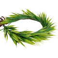 KorViSHOW Hawaiian Leaf Lei Crown Headband - Artificial Tropical Green Leaves Headpiece for Girls Women Hawaii Decor Beach Luau Party Costume Accessories