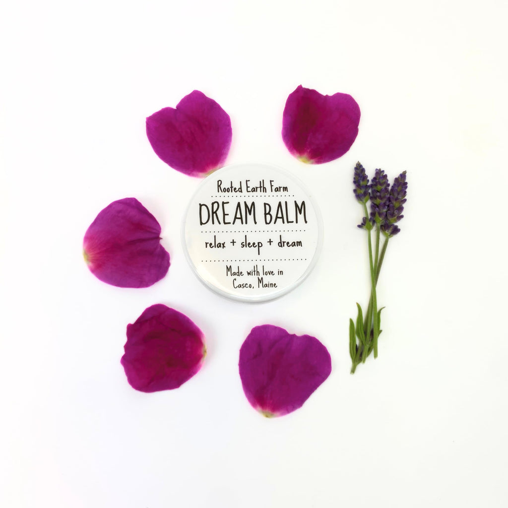 Dream Balm - 1 fl oz - Herbal Salve - Dry Skin Moisturizer