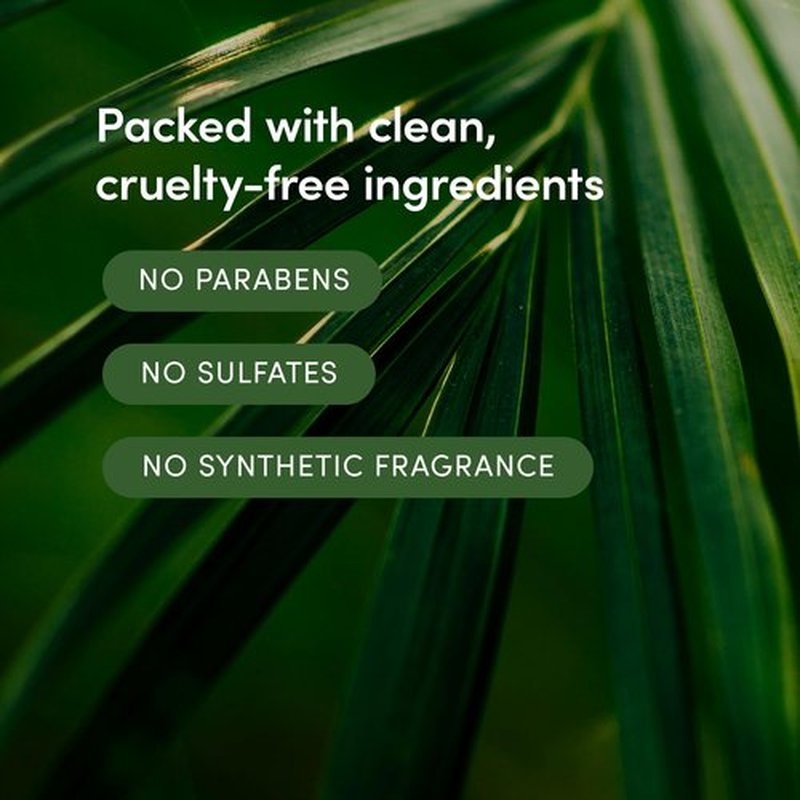 LATHER - Bamboo Crème Natural Body Wash, 8 fl oz - Shower Gel Cleanser - Gentle Body Soap - Essential Oils - Bamboo, Shea Butter, Lavender - All Skin Types - Vegan, Cruelty Free - Beauty & Skincare