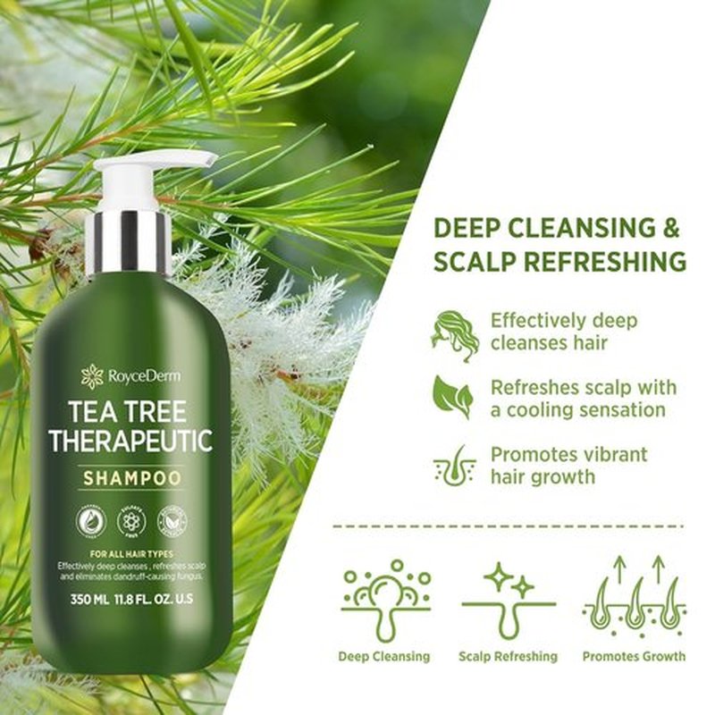 Roycederm Tea Tree Antifungal Shampoo - Medicated Treatment for Folliculitis, Dandruff & Itchy Scalp | Paraben & Sulfate Free - 2 Pack