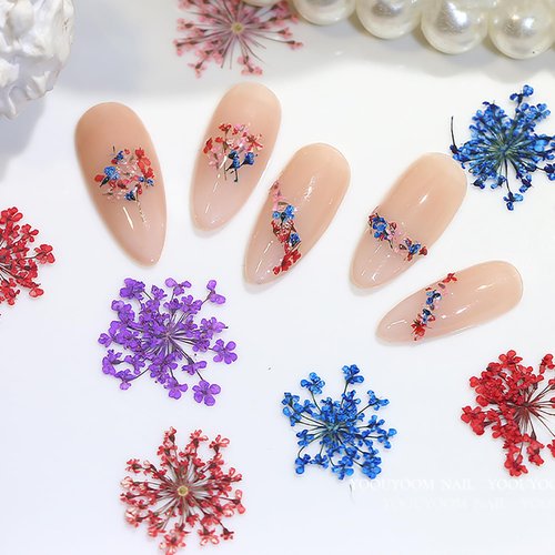 SILPECWEE 2 Boxes Dried Flowers for Nails Mini Real Nail Flowers 3D Dried Flowers Nail Stickers Nail Decor Manicure Design Flower Decorations for Makeup DIY Craft Accessories