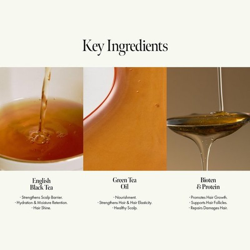 ANILLO Black Tea Nourishing Hair Essence with Green Tea Oil, Protein & Biotin for Nourishment and Shine - Creamy Woody Scent, Vegan, Paraben-Free 50ml / 1.69 fl. Oz