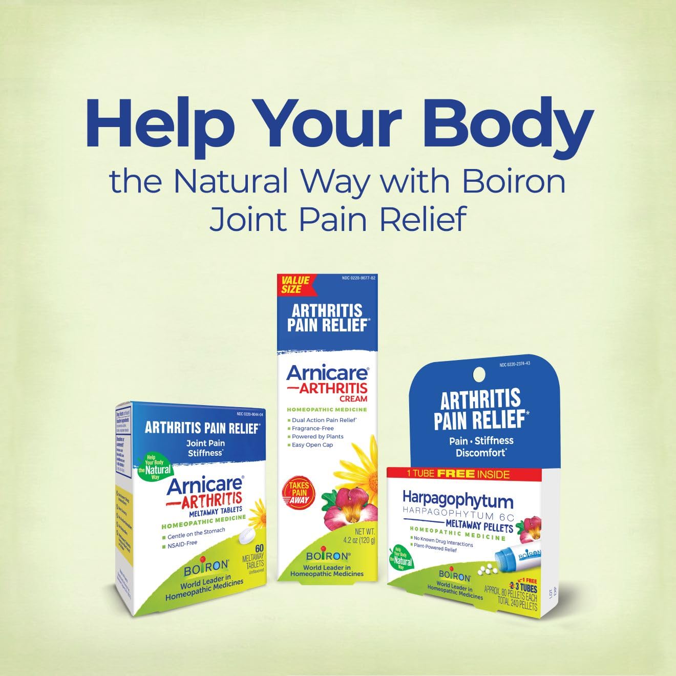 Boiron Arnicare Arthritis Cream Pump for Pain Relief of Knees, Hands, Wrists, Elbows, Joints & Muscles – Quickly Absorbed & Fragrance-Free – 4.2 oz