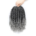 Passion Twist Hair 12 Inch 8 Packs, Pre Twisted Passion Twist Crochet Hair For Black Women, Pre Looped Passion Twist Curly Crochet Hair, Short Crochet Passion Twist Hair (12 Inch (Pack of 8), Gray#)