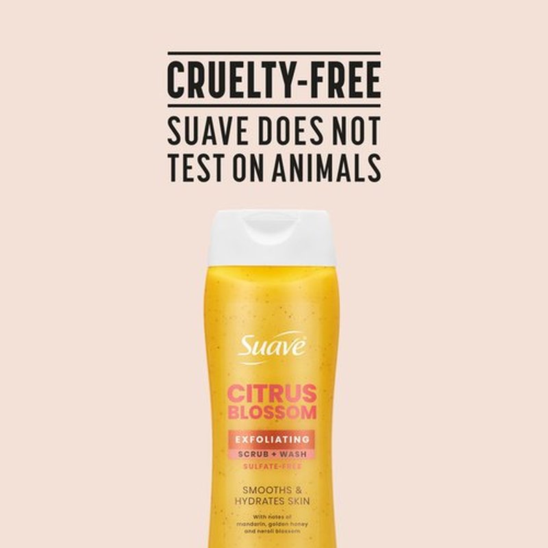 Suave Citrus Blossom Exfoliating Body Wash & Scrub with Glycerin & Vitamin E, Sulfate-Free Hydrating Cleanser for Soft, Smooth Skin, 6 Count, 18 FL OZ EA