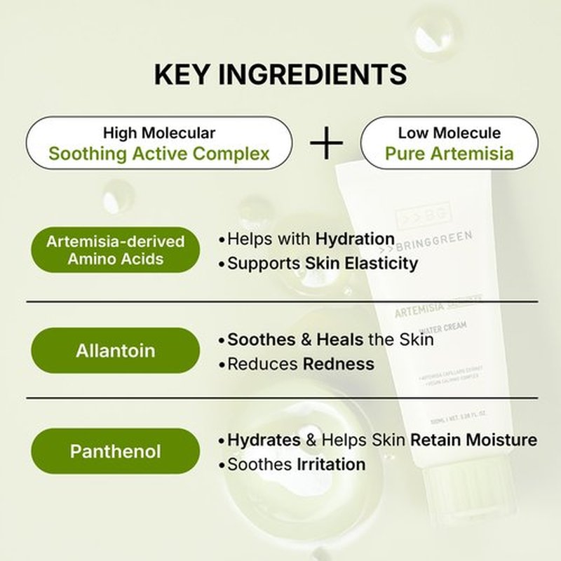 BRING GREEN Artemisia Calming EX Water Cream 100mL