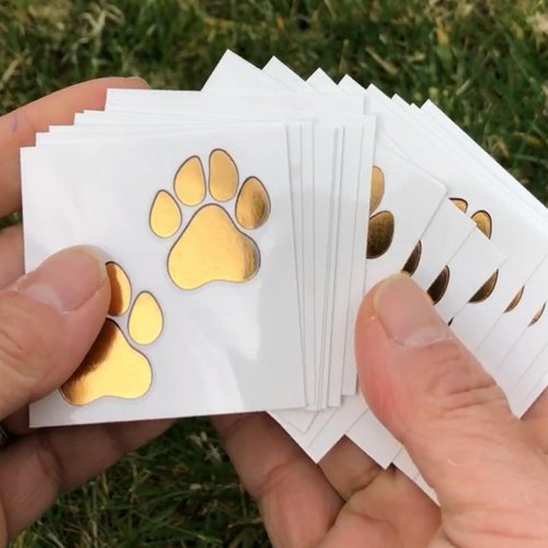 Metallic Gold Paw Print Temporary Tattoos/Great for Cheerleading - Dancers - Team Spirit - School Spirit (Double Gold Paw 48pk)