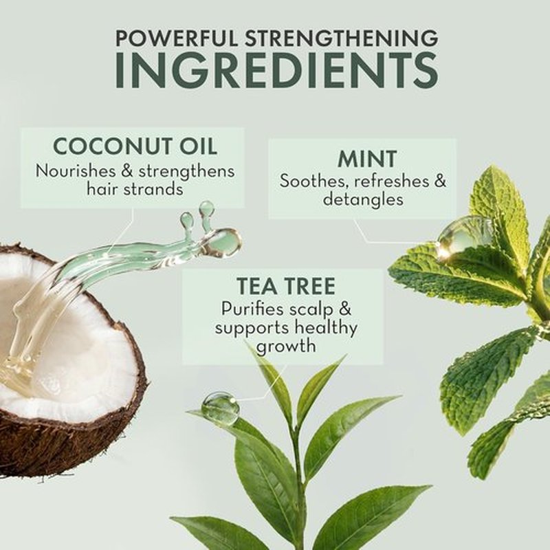 Regine Switzerland Leave-In Conditioner Spray - Tea Tree Scalp Treatment for Dandruff Relief | Hydrating Formula for Dry, Itchy Scalp