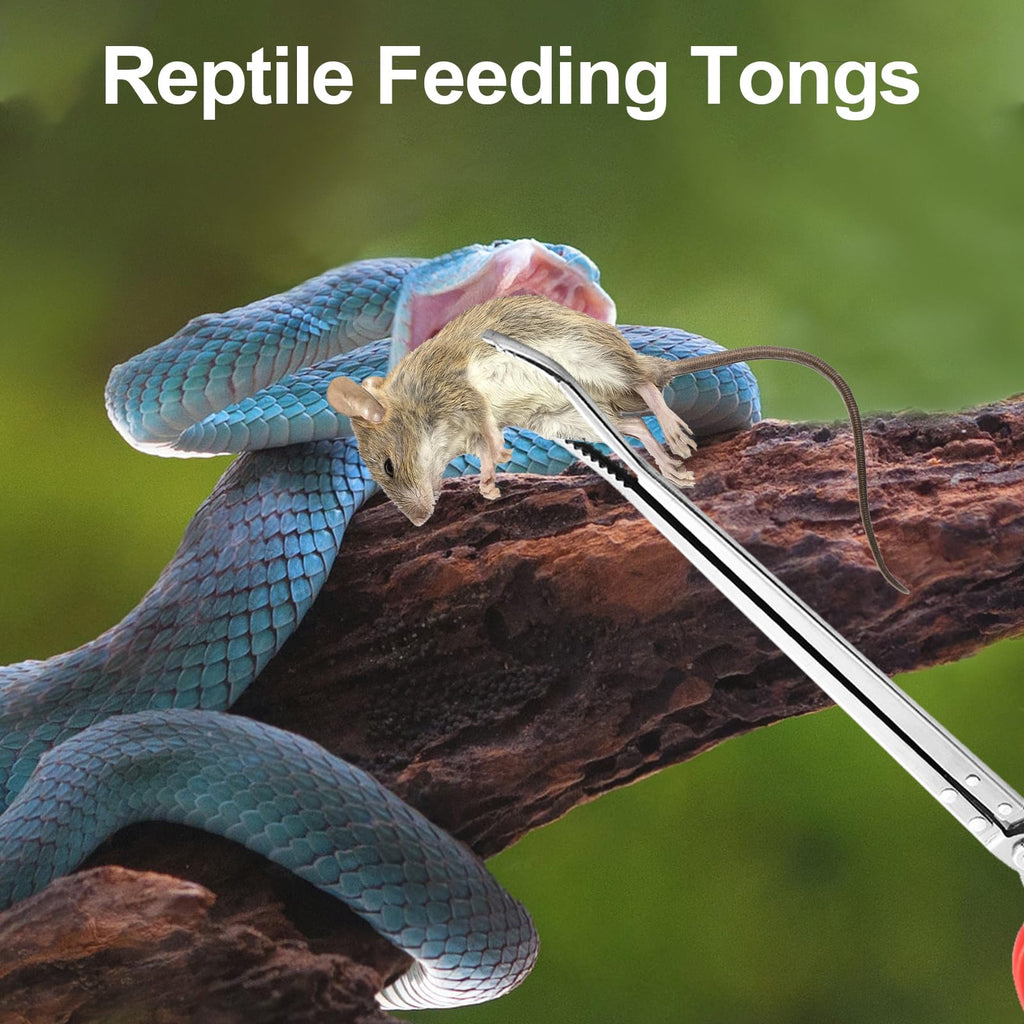 Pankousa 2PCS Reptile Feeding Tongs, Extended Stainless Steel Snake Feeding Tongs, Straight and Curved Feeding Tong, can be used for Snakes, Reptiles, Bathtubs, Aquarium Terrarium Supplies（15 "）