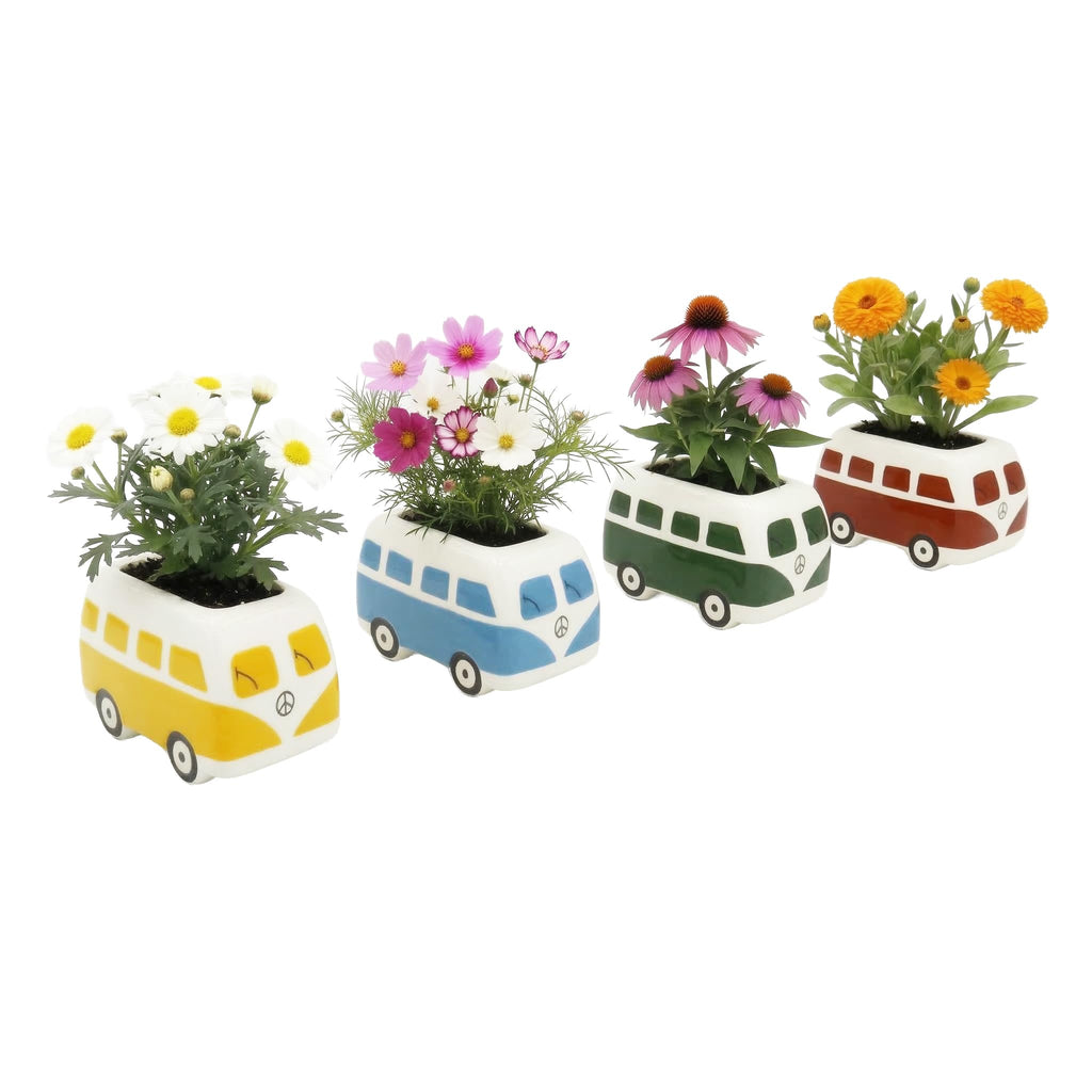 BUZZY Seeds Mini Ceramic Flower Bus Grow Kit 4-Pack - Bus Ceramic Planter - Complete Indoor/Outdoor Gardening Kit with Seeds, Coconut Husk Growing Medium & Genuine Pots - 100% Grow Guarantee