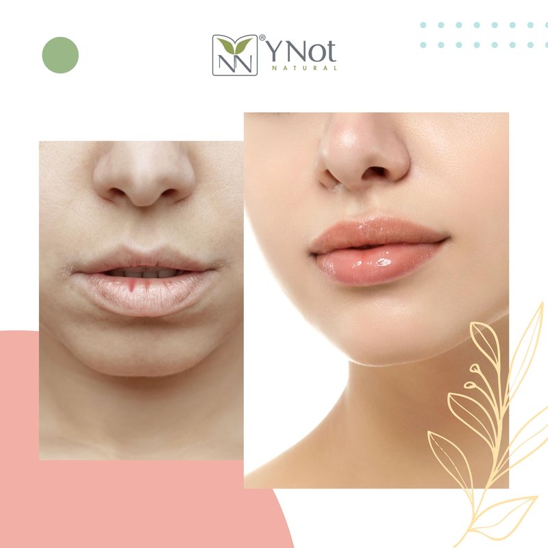 YNN Emu Oil Moisturizing Lip Balm with Extreme SPF50+ Sun Protection - 4-Hour Water Resistant, Fortified with Vitamin E, Amino Acids & Omega 3, 6 & 9 - Y-Not Natural, 15g Stick - 2 Pack