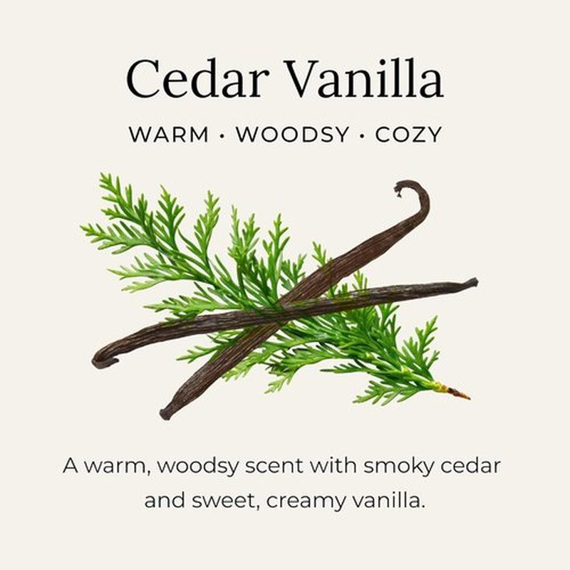 Little Seed Farm All-Natural Deodorant Cream - Cedar Vanilla | Aluminum-Free, 2.4oz (68g) for Men & Women
