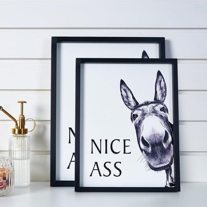 HKBS Framed Bathroom Wall Art - Funny Donkey Decor Sign | Vintage Farmhouse Design (14" L x 11" W)