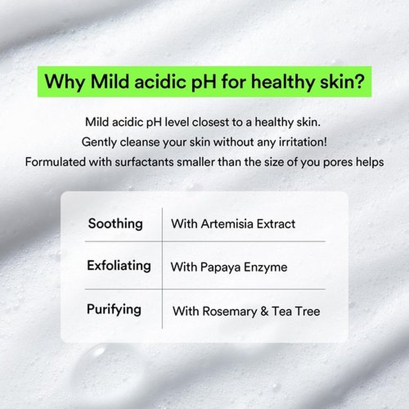 Abib Mild Foam Cleanser Heartleaf Foam 5.07 fl.oz