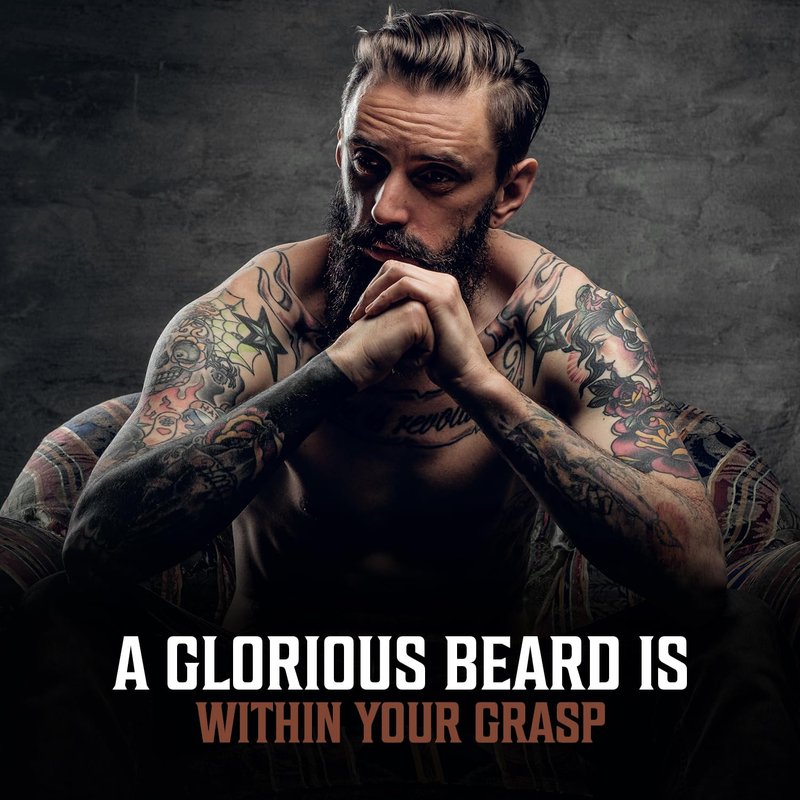 Viking Revolution Beard Oil - Natural Conditioning Oil Set for Men | Sandalwood, Unscented & Bay Rum (3 Pack, 1oz)
