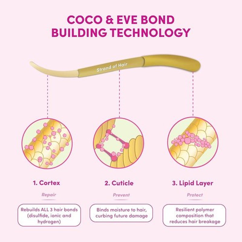 Coco & Eve Conditioner - Pre-Shampoo Treatment for Dry, Damaged Hair | 4.23 fl oz Deep Conditioning Mask