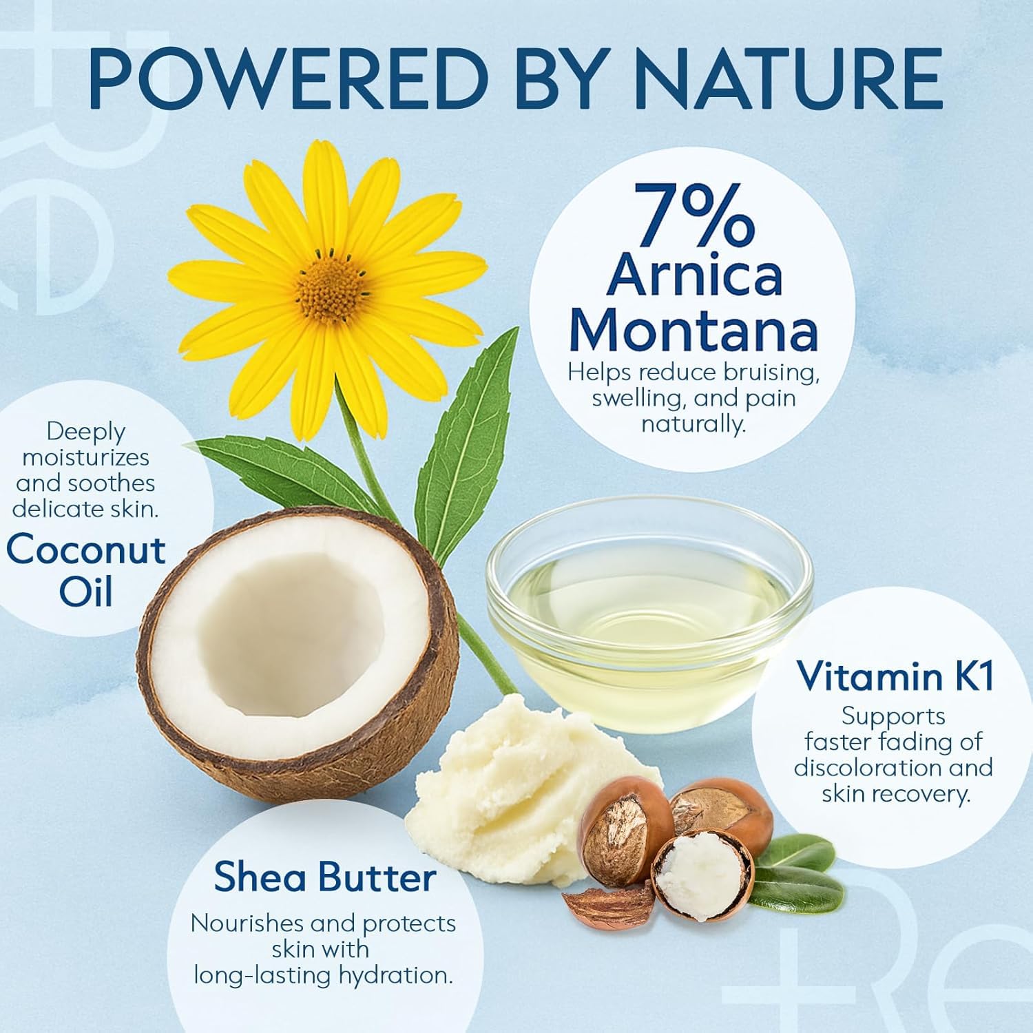 Recuren Plus Arnica Bruise Cream Extra Strength: Rapid Relief for Bruising Swelling Soreness Pain on Thin Skin - Potent Arnica Montana with Vitamin K Coconut Shea Butter - Face & Body
