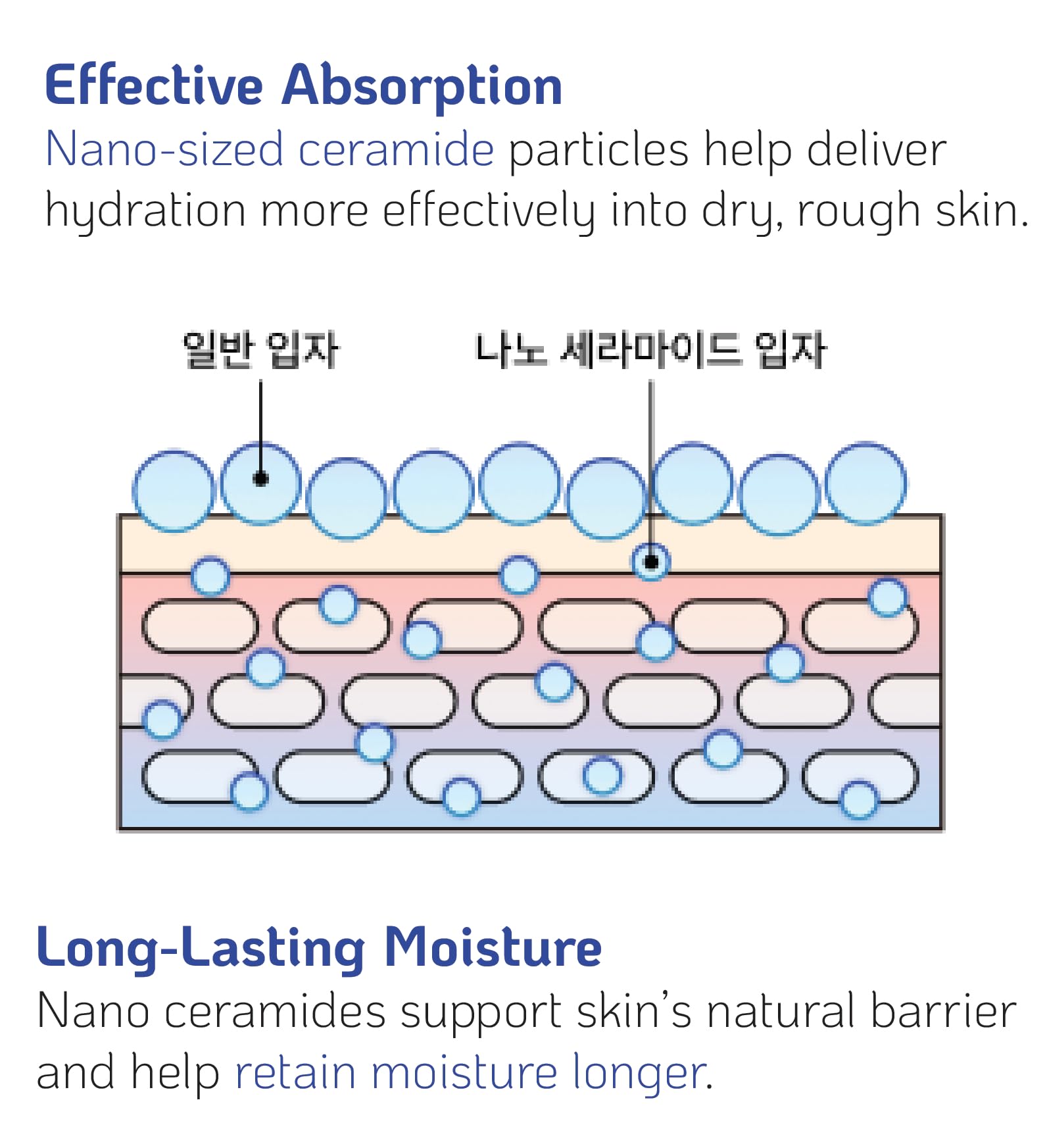 Versatile High-Potency Ceramide Concentrate Mix 1-2 Drops with Any Product Hydrating Moisturizer Enhancer Strengthening Skin Barrier 41ml