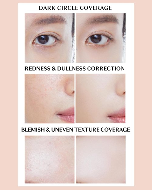 THESAEM Cover Perfection Concealer Palette - 6-Color Multi Concealer for Medium Skin Tones 20-23 | Includes Dual Brush for Blemishes & Dark Circles