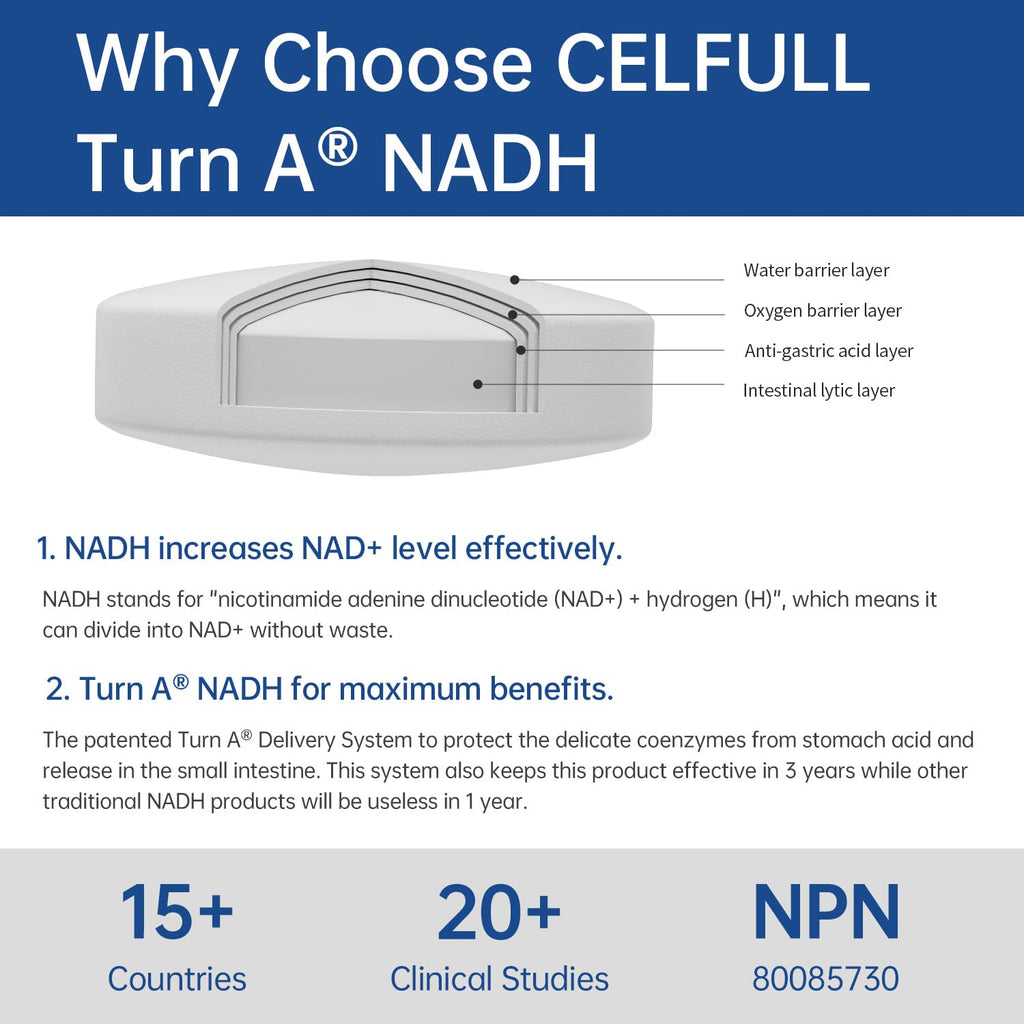 CELFULL NADH Supplement Enchance NMN Alternative NAD+ Supplement for Immune Support Anti-Aging Boost Brain Cognition & Chronic Fatigue Supplements