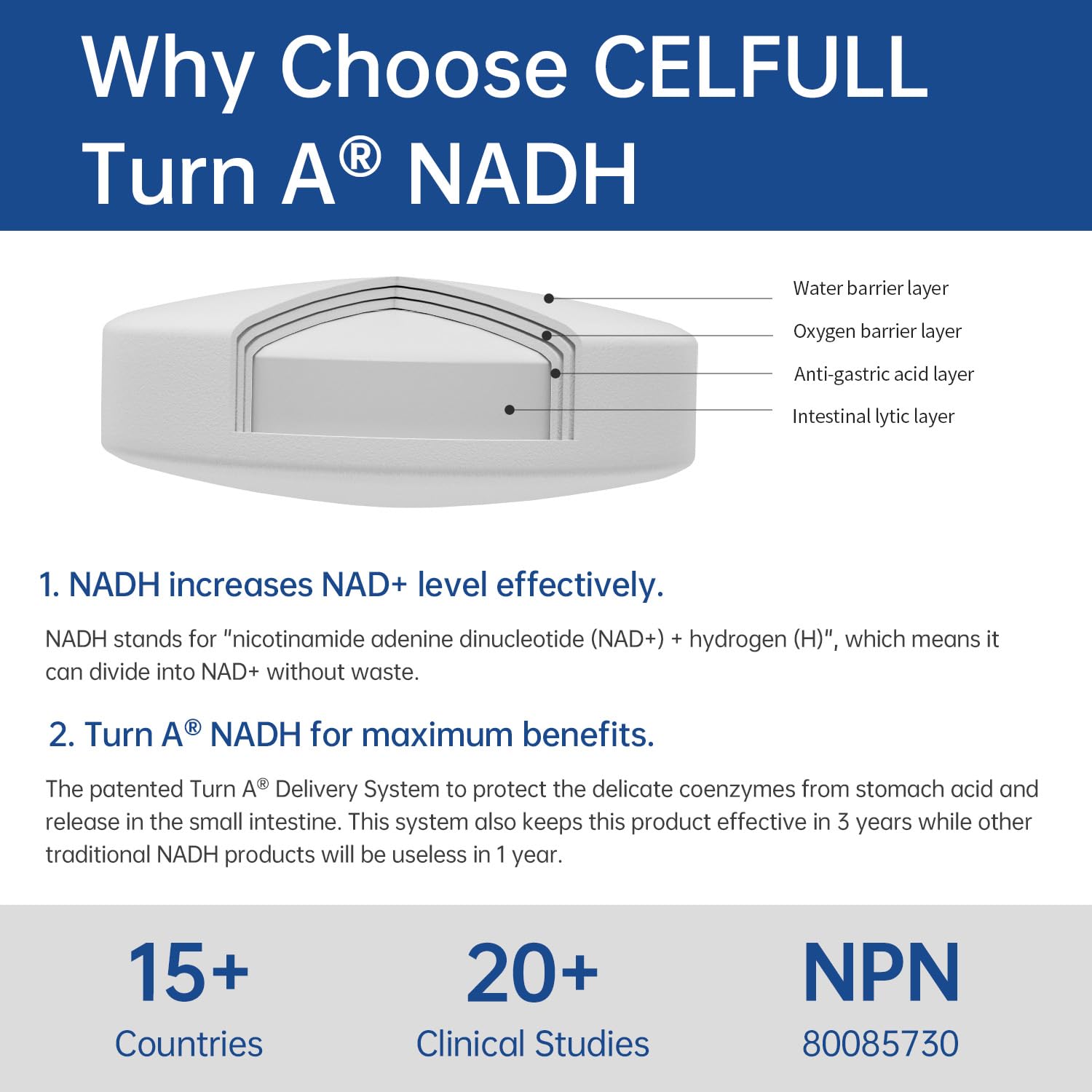 CELFULL NADH Supplement Enchance NMN Alternative NAD+ Supplement for Immune Support Anti-Aging Boost Brain Cognition & Chronic Fatigue Supplements