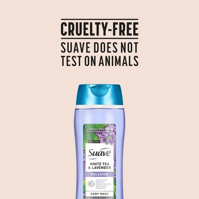 Suave Moisturizing Body Wash Women, White Tea and Lavender with Vitamin E and Aloe Extracts, No Parabens, No Phthalates, 18 Oz (Pack of 6)