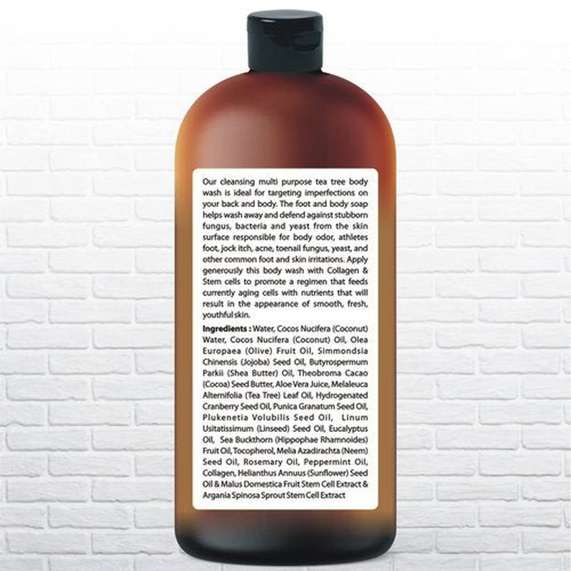 Body Wash with Tea Tree & Organic Tea Tree Oil - Fights Odor, Acne & Skin Issues, 16.9 oz by BeingNaturals