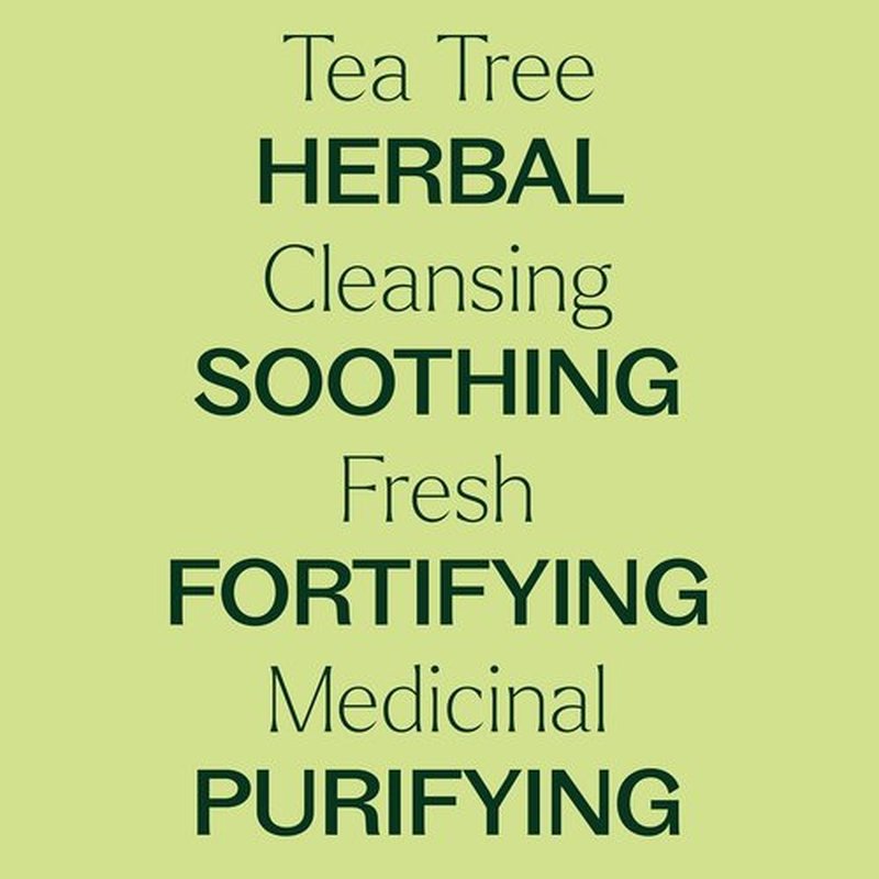 Plant Therapy Organic Tea Tree Oil - 100% Pure & USDA Certified Organic - Therapeutic Grade 30 mL (1 oz)