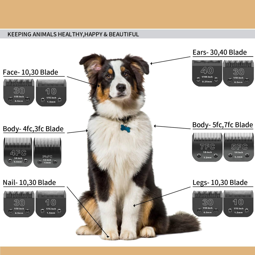 DODAER Detachable Stainless Steel Pet Blades Compatible with Andis & Oster A5 Grooming