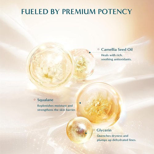FLORASIS Dewy Touch Tinted Lip Balm - Nourishing Lip Mask for Dry Lips | Aromatic Peach, 1 Count