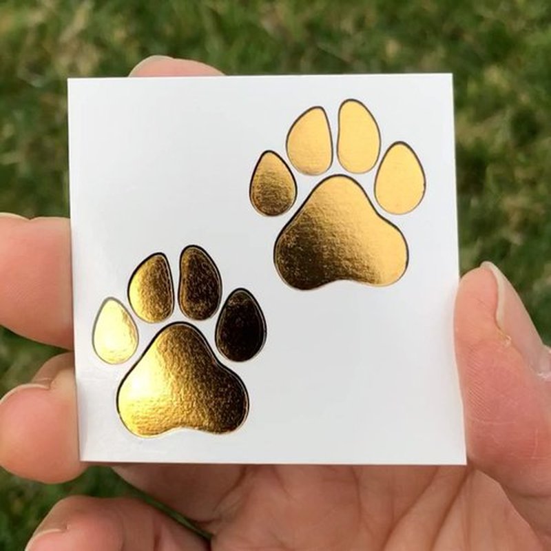 Metallic Gold Paw Print Temporary Tattoos/Great for Cheerleading - Dancers - Team Spirit - School Spirit (Double Gold Paw 48pk)