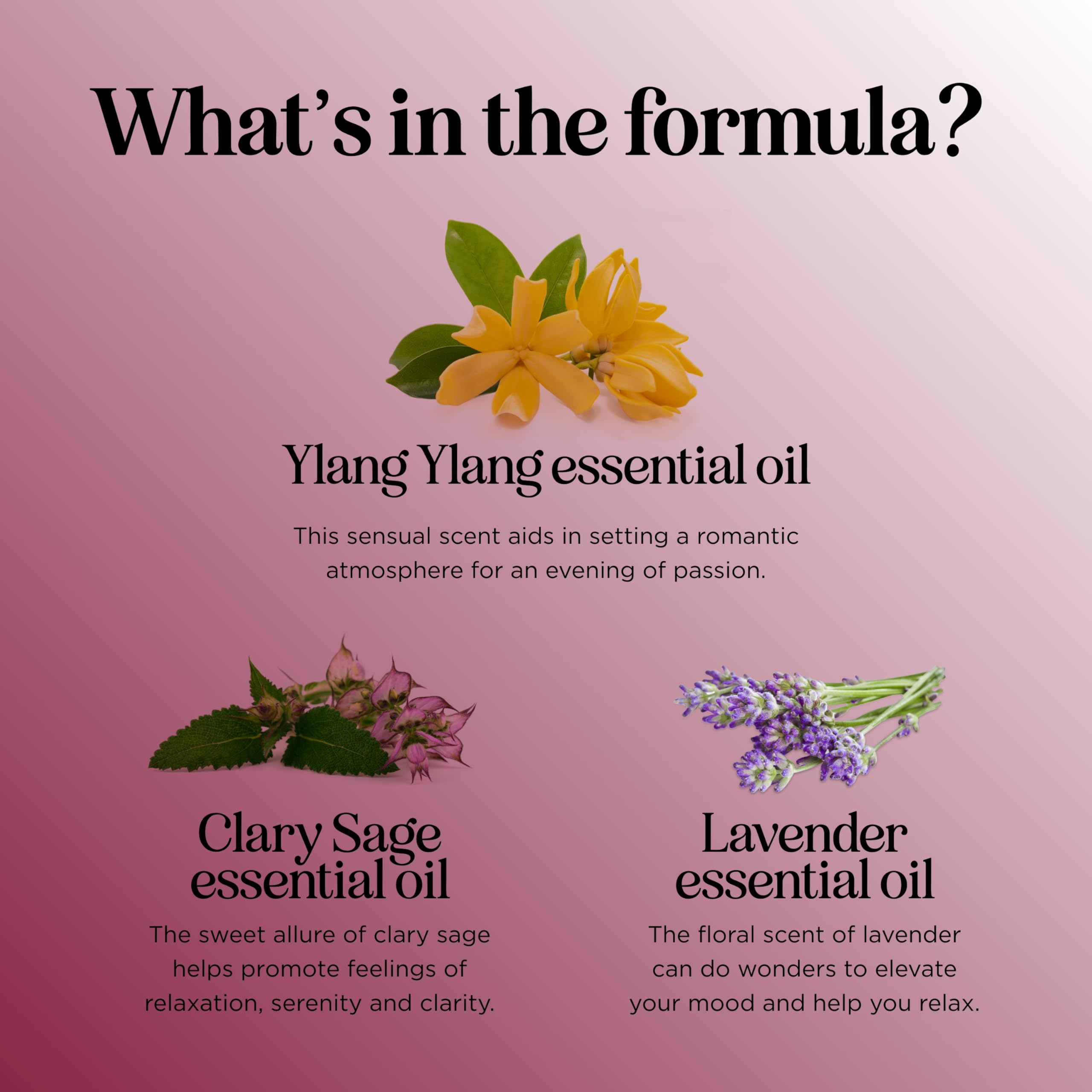 Entice Essential Oil Blend for Diffuser - Passionate Blend of Aromatherapy Oils for Couples with Lavender Palmarosa Clary Sage and Ylang-Ylang Essential Oil - Ignite the Romance Essential Oils Blend