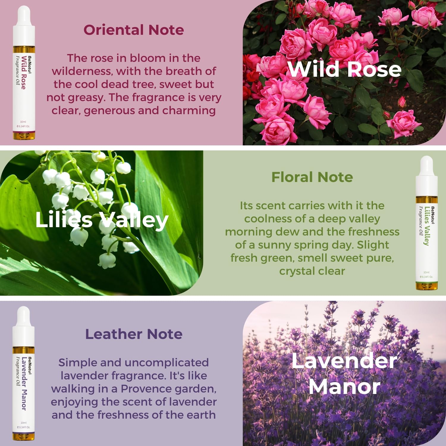 Benatu Summer Premium Fragrance Oils Set for Diffuser, Candle, Soap Making - Fruity Scents Aromatherapy Perfume Oil Gift for Home (Lime Basil, Cucumber, Peach, Strawberry, Melon, Blackberry Bay) 6 Pcs