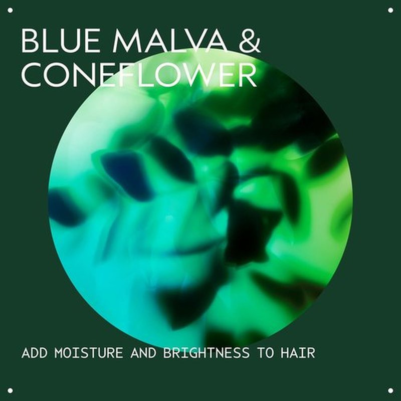 Aveda Blue Malva Color Conditioner - Purple Conditioner for Silver & Blonde Hair | Neutralizes Brassiness | 8.5 Fl Oz