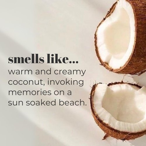 Mountain Ocean Skin Trip Coconut Soap | 4.5oz - Pack of 6 | Gentle Cleansing Bar Soap for Body, Natural Nourishment, and Hydration