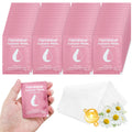 Feminine Wipes Individually Wrapped,Flushable Wipes Travel for Women,Feminine Care Wet Wipes Travel Size Vaginal Wipes for Adult,Girl and Homeless 100