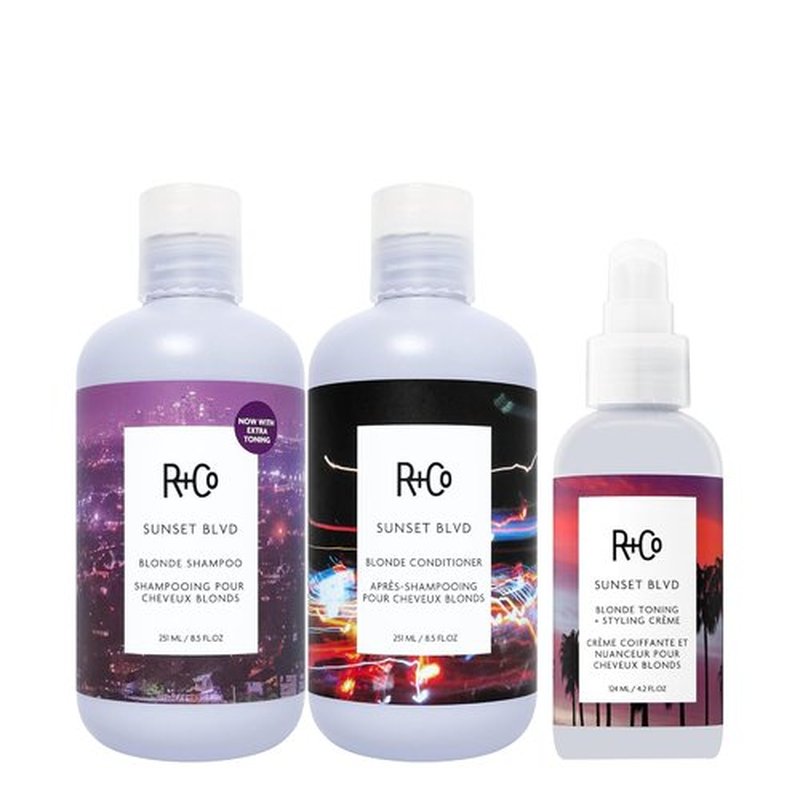 R+Co Sunset Blvd Daily Blonde Shampoo - Brightening & Brassiness Control | Hydrating | Vegan & Cruelty-Free | 8.5 Fl Oz
