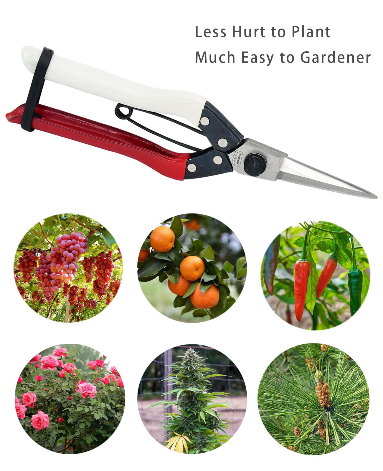 Double-Edge Garden Shears Micro-Tip Pruning Shears Extra Heavy Straight Garden Scissors Effortless Cuts Pruning Shears for Gardening Clippers for Plant Herb Flower Harvesting Fruits vegetables