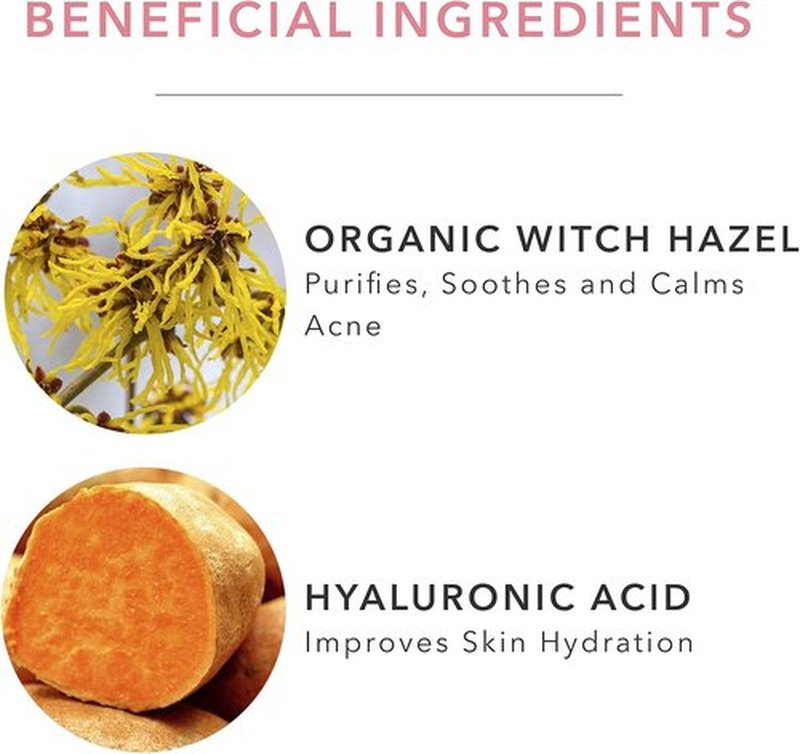 100% PURE Hydrating Toner - Organic Witch Hazel & Sea Kelp with Hyaluronic Acid | Anti-Aging, 4 Fl Oz