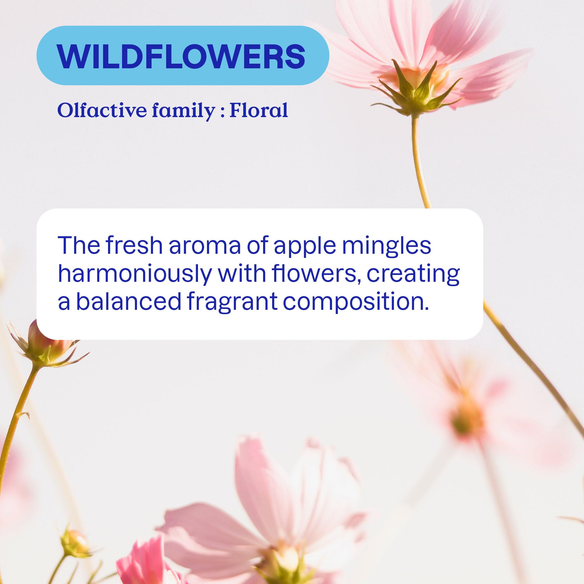 ATTITUDE Liquid Fabric Softener, Plant-Based & Vegan, HE Compatible, Naturally Derived, Wildflowers Scent, 40 Loads, 33.8 Fl Oz