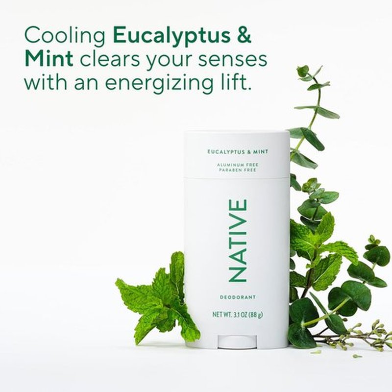 Native Aluminum-Free Deodorant - Eucalyptus & Mint - 72-Hour Odor Control - 3.1 oz Stick for All Genders
