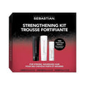 Sebastian Professional Shampoo & Conditioner Set - 8.4 fl oz with Trial Size Potion 9 Leave-In Treatment - 1.7 fl oz