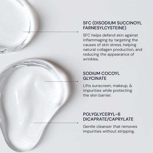 Blueprint Bryan Johnson Gentle Facial Cleanser - Age-Defying Gel with SFC & Hyaluronic Acid for Balanced, Hydrated Skin - Vegan & Fragrance-Free